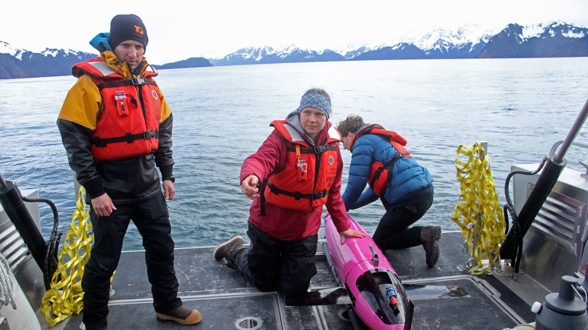 Oceans have gotten about 34% more acidic since before the Industrial Revolution