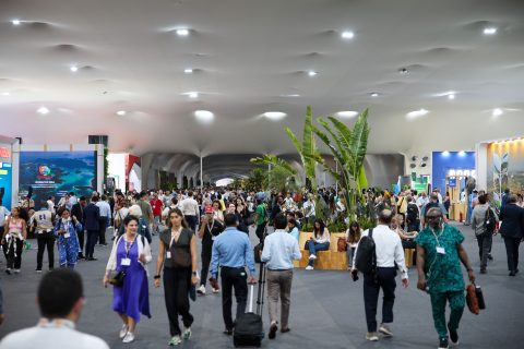 Santa Marta coalition tested as co-chair Colombia turns back to fossil fuels