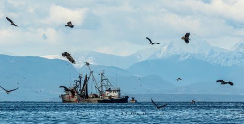 Battle over cleaning up shipping set to resume at London talks