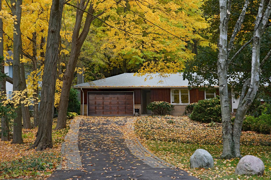 Is My Roof Too Shaded for Solar Panels?