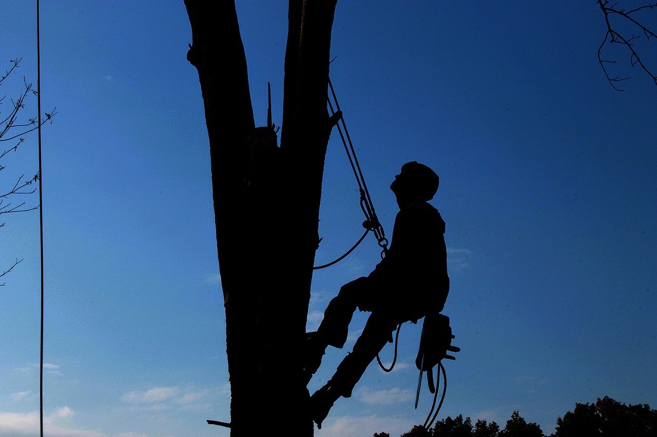 Redefining the utility playbook with PG&E’s Sumeet Singh