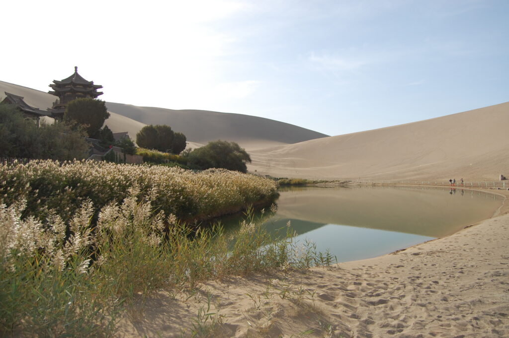 Africa and China Advance Great Green Walls as Continental Wildlife Corridors