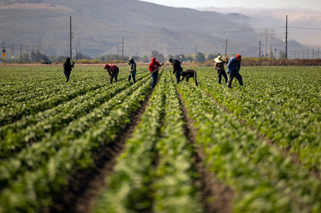 As Temperatures Get Hotter, Pesticides Are More Dangerous to Farmworkers