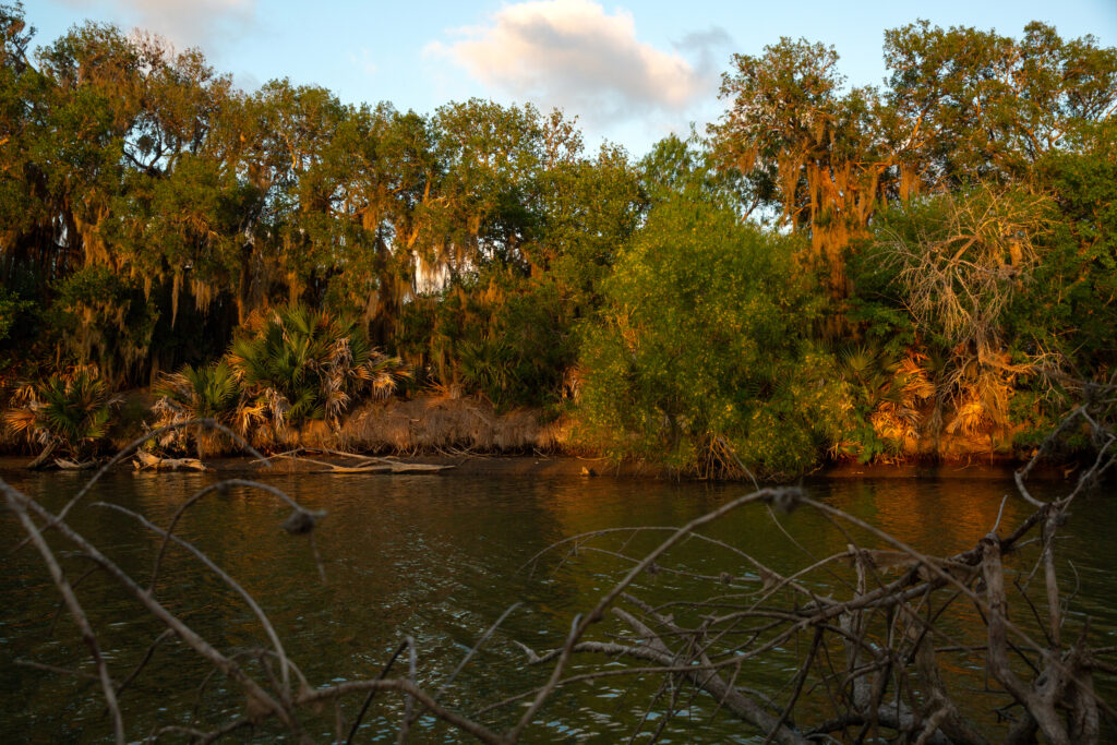 Corpus Christi Withholds Water to Wetlands While Lifting Restrictions on Lawns