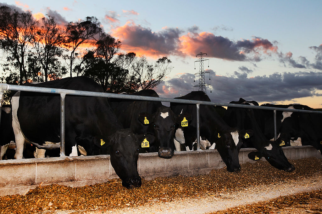 New Zealand moves to protect business with law curtailing climate litigation