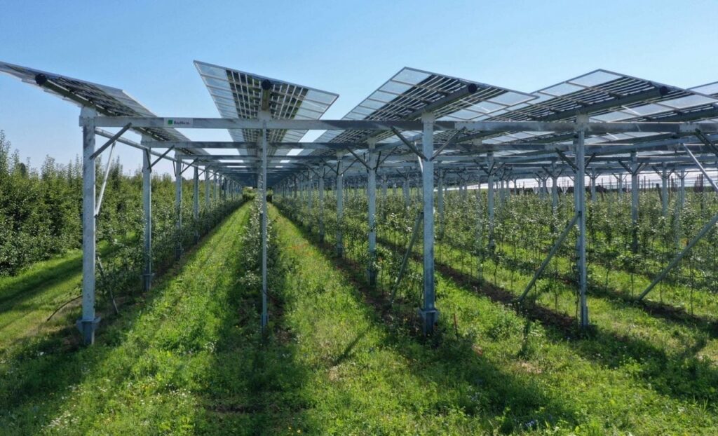 Spanish government awards €360 million for co-located battery storage projects