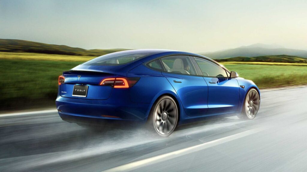Tesla's FSD Lite Seems To Have A Hard Time Seeing Trees And Logs