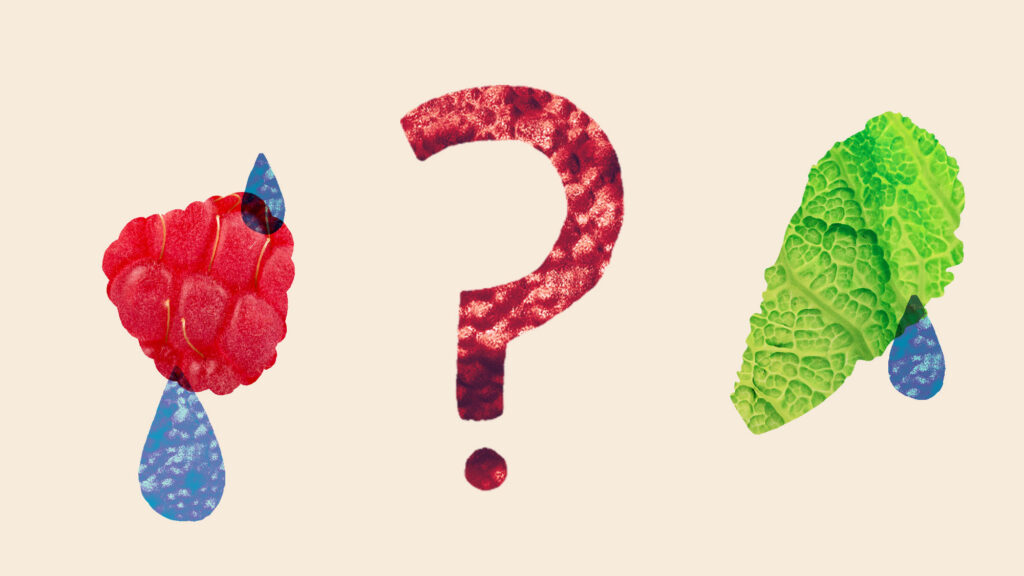 Who’s most at risk in the cyclospora outbreak? The farmworkers on the front lines.