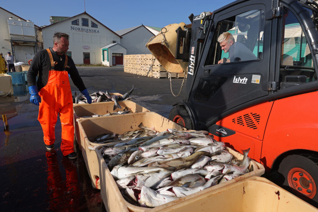 Why Iceland Chose Fish Over European Alliances