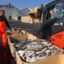 Farmed Salmon May Not Be as Nutritious as It Once Was, New Research Suggests