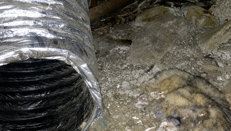 Bad Ducts = Bad Air
