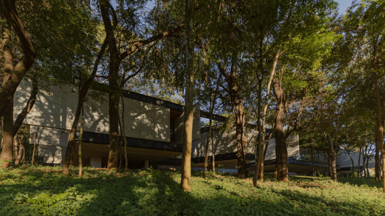 Adentro House / TETRO Arquitetura
