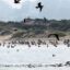 NOAA Fisheries Takes A ‘Sharp Turn Away From Science’