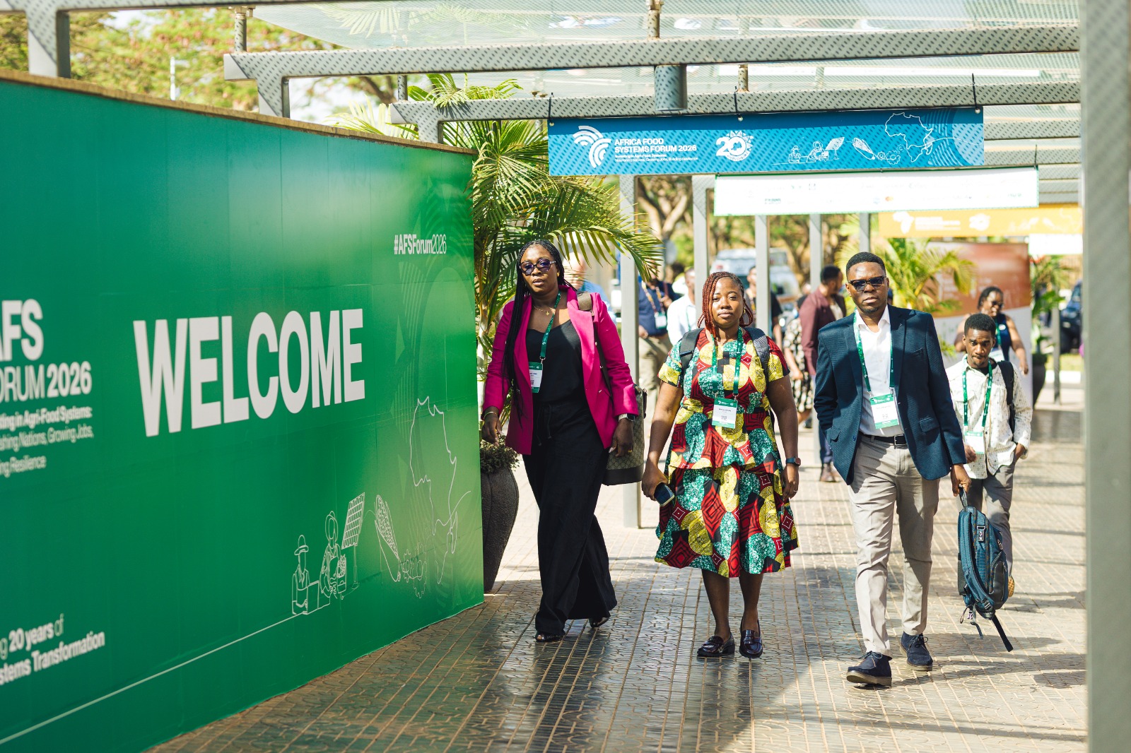 More support needed to power Africa’s food systems with renewables, experts say