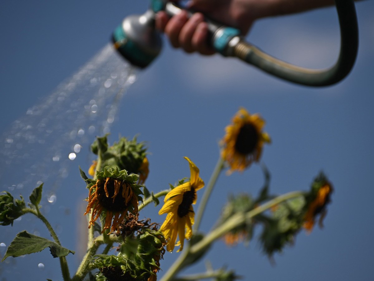 Scientists link fossil fuel producers to the West’s worsening water shortages