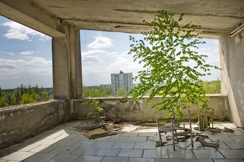 Rewilding, Biodiversity and Biophilia in Architecture