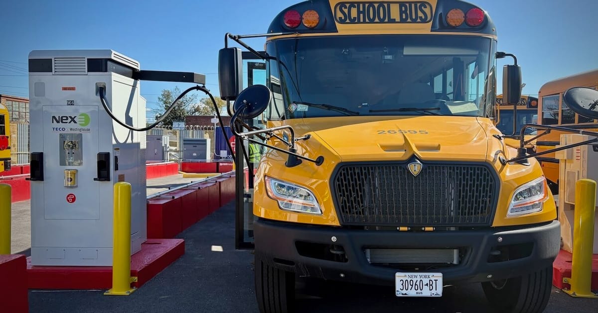 A new fleet of electric school buses hits New York City streets