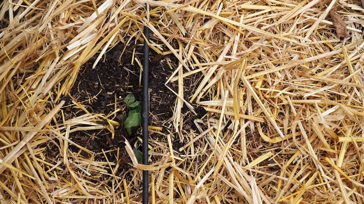 How a Washington State farm dramatically slashed its irrigation needs