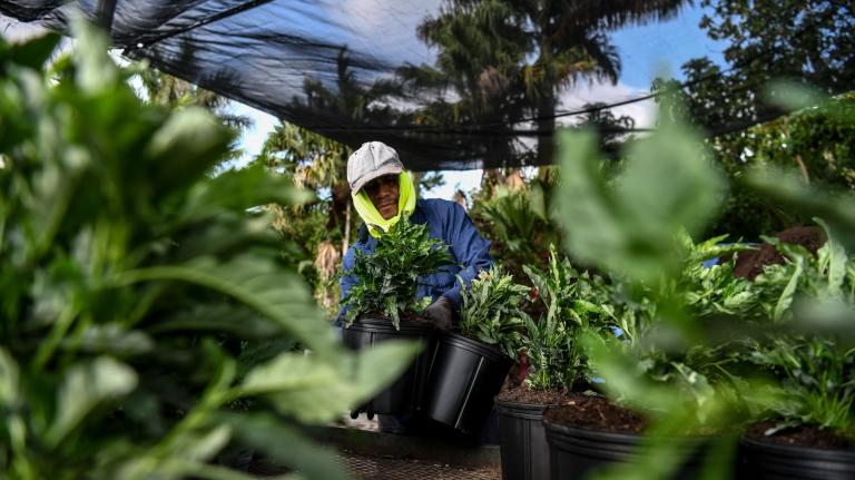Has the farm bill hit a dead end?
