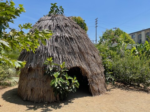 Rewilding, Biodiversity and Biophilia in Architecture