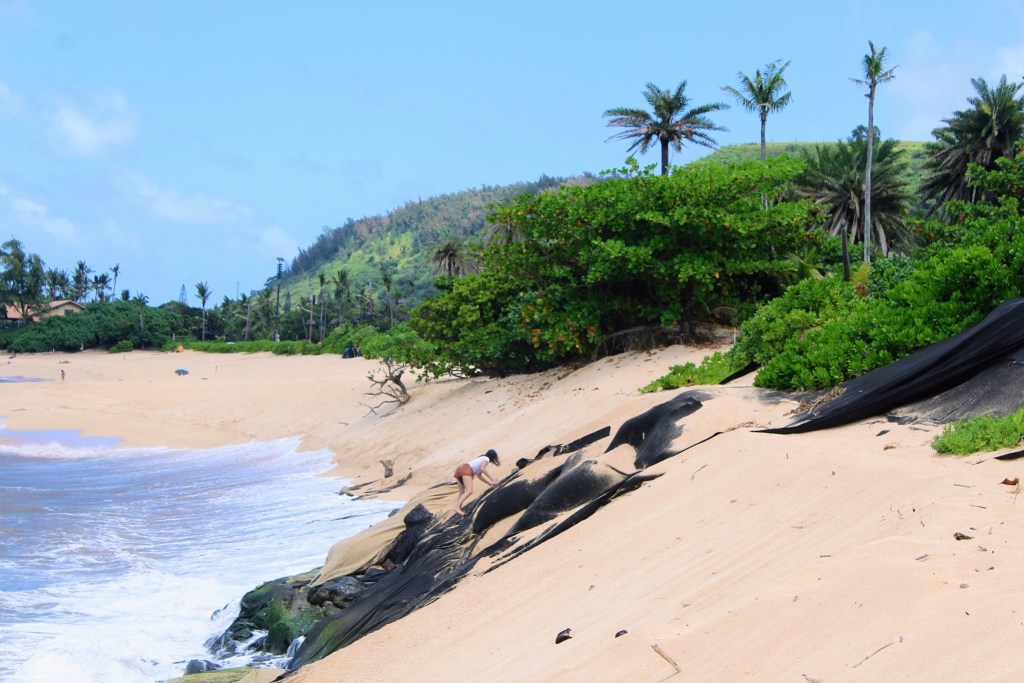 Buying on the brink in Hawaii