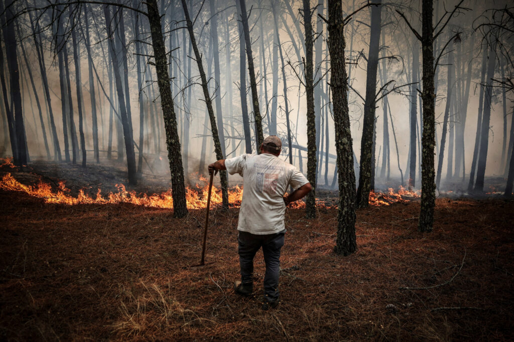 From firefighting to future-proofing: Preventing wildfires must be the priority