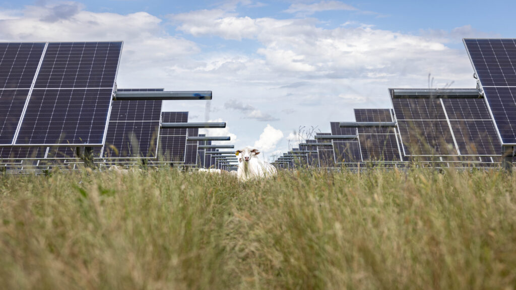 These States Are Leading the Electricity Generation Boom