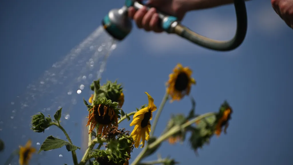 We just had the hottest August, hottest summer, and hottest year to date in U.S. history