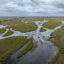 Data Centers, Power Bills, Hurricanes: What’s at Stake for the Environment in Florida’s Senate Race