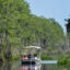 The Okefenokee’s Next Chapter