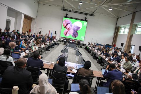 COP17 delivers fragile deal to boost conservation and funding for nature