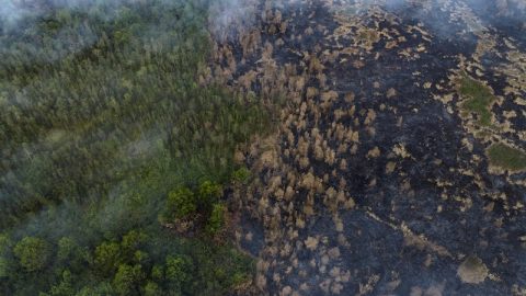 UN carbon market forces cookstove projects to protect against forest loss