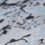 A Warming Climate Is All Over Alaska’s Senate Race. The Candidates Hardly Mention It.