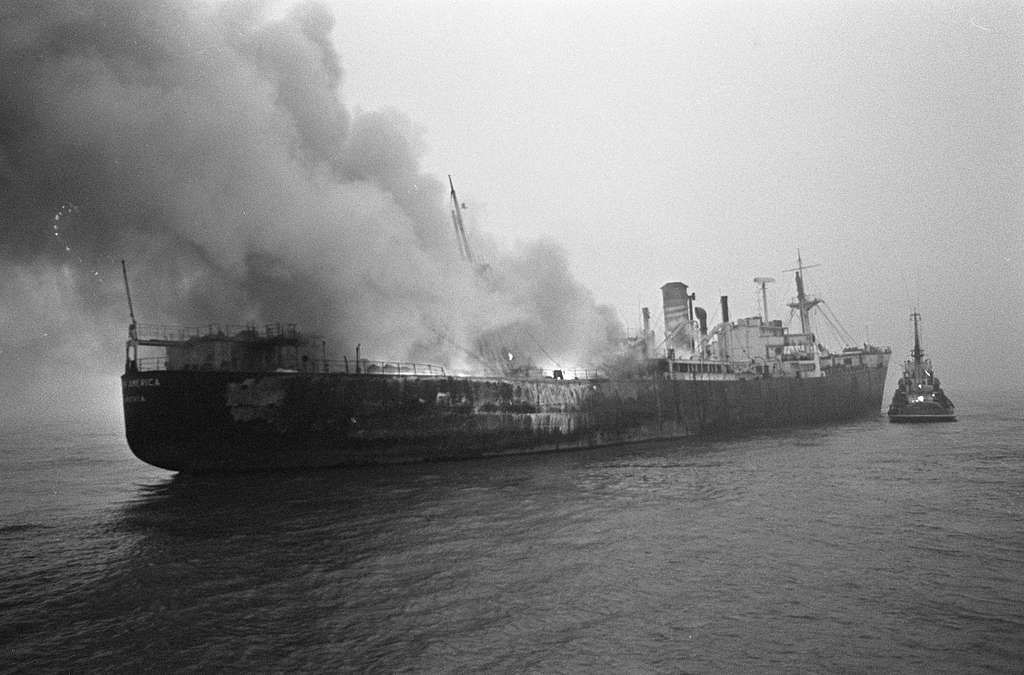 The Fire Retardant in the Seafood Chain
