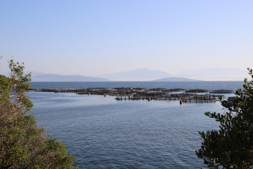 The Greek National Park Suffocated by Fish Farming
