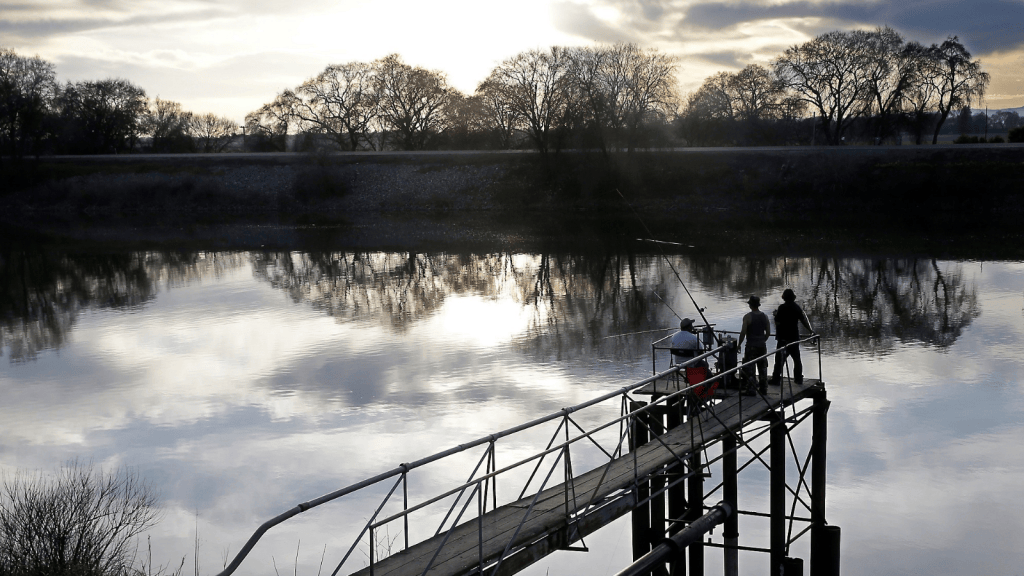 California restoration project turns sinking farmland into wetlands