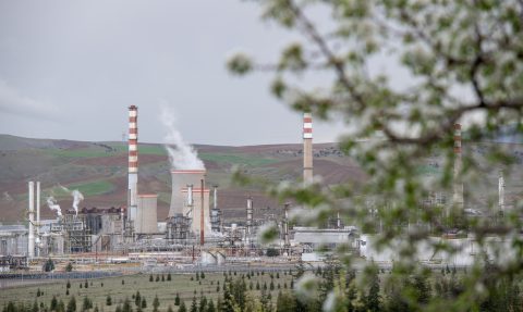 COP31 must amplify people power, not oil lobby voices