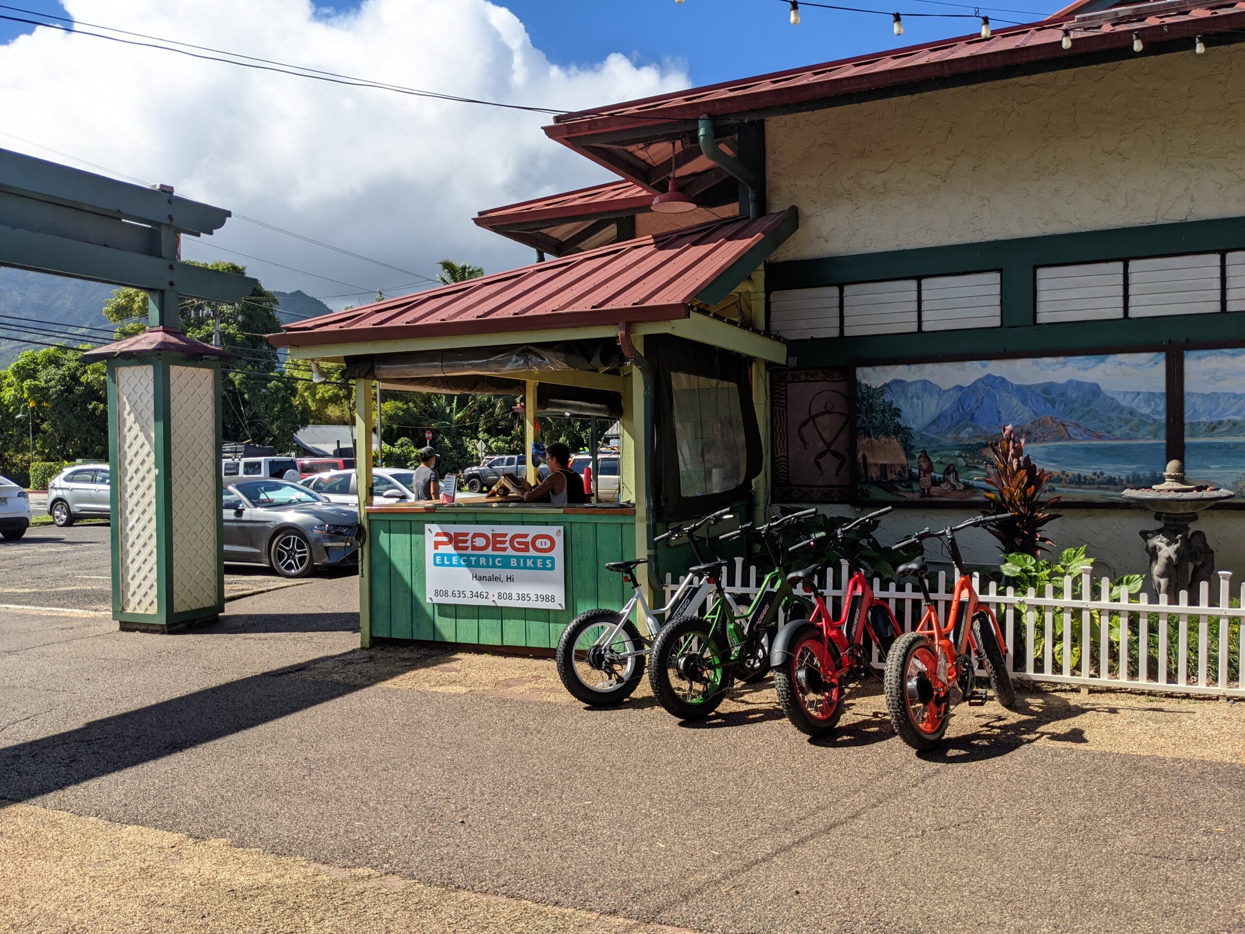 The Pedego Element 2 eBike — CleanTechnica Tested