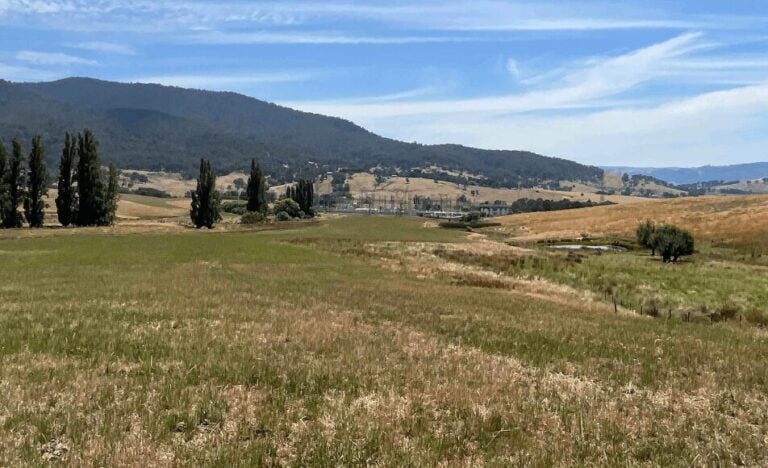 Mint Renewables wins planning approval for 800MWh battery storage system in Western Australia