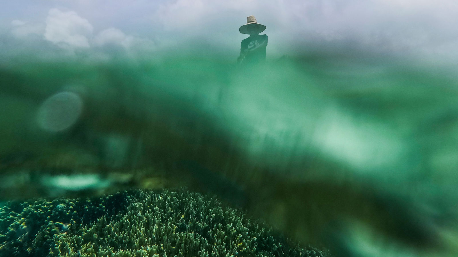 Ancient corals reveal that El Niño events have gotten more extreme
