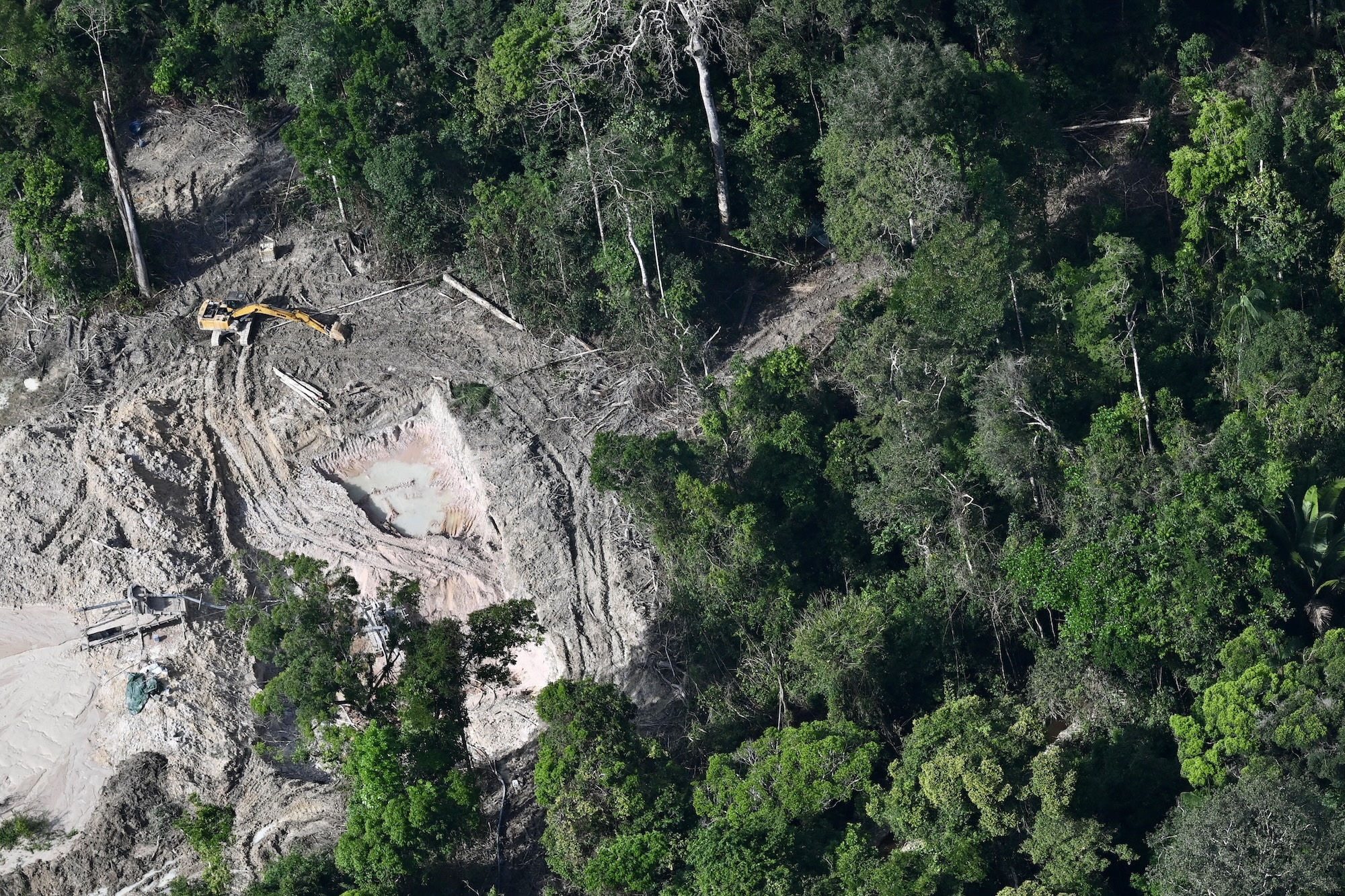Brazil’s election could determine the fate of the Amazon