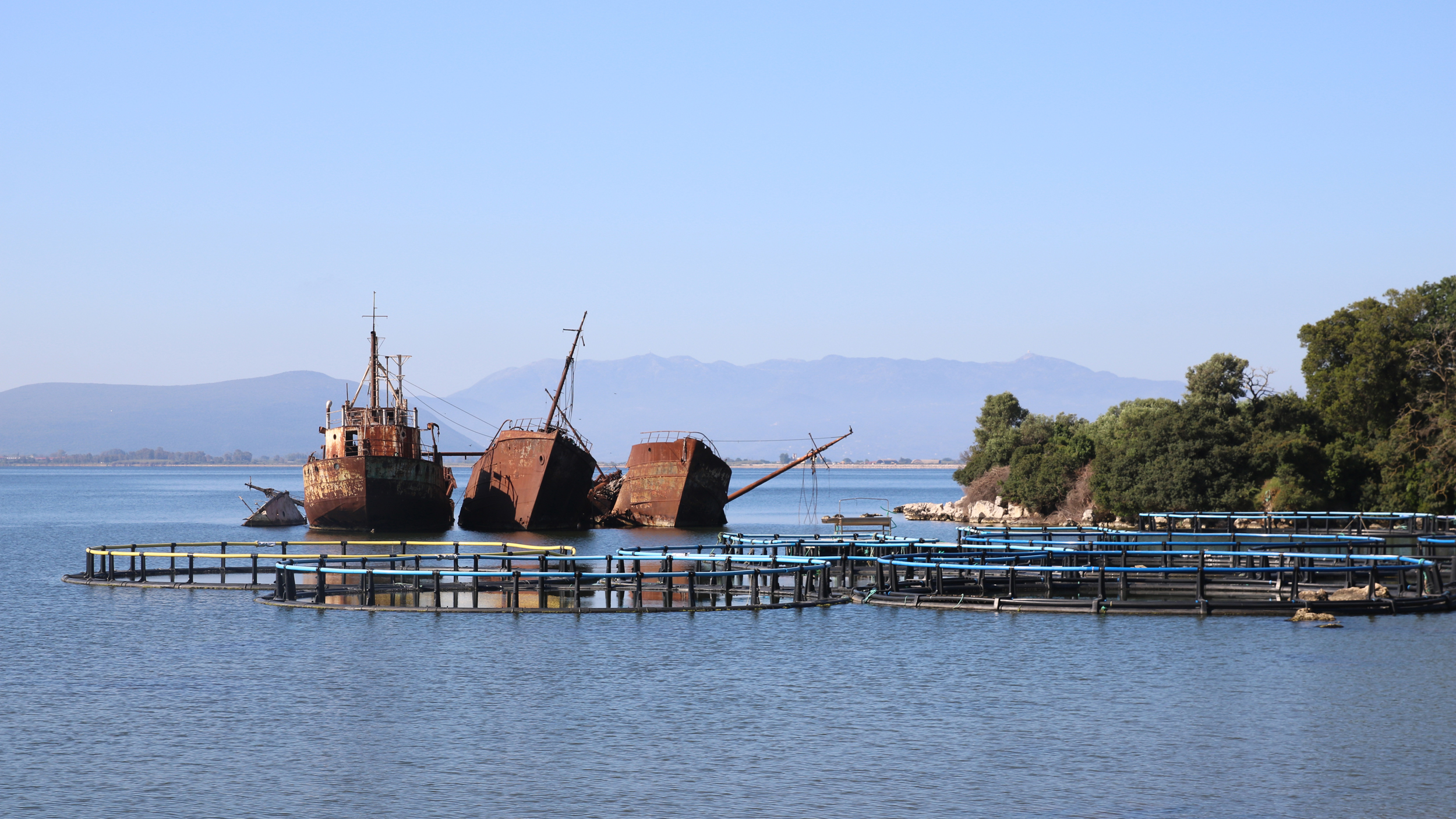 The Greek National Park Suffocated by Fish Farming
