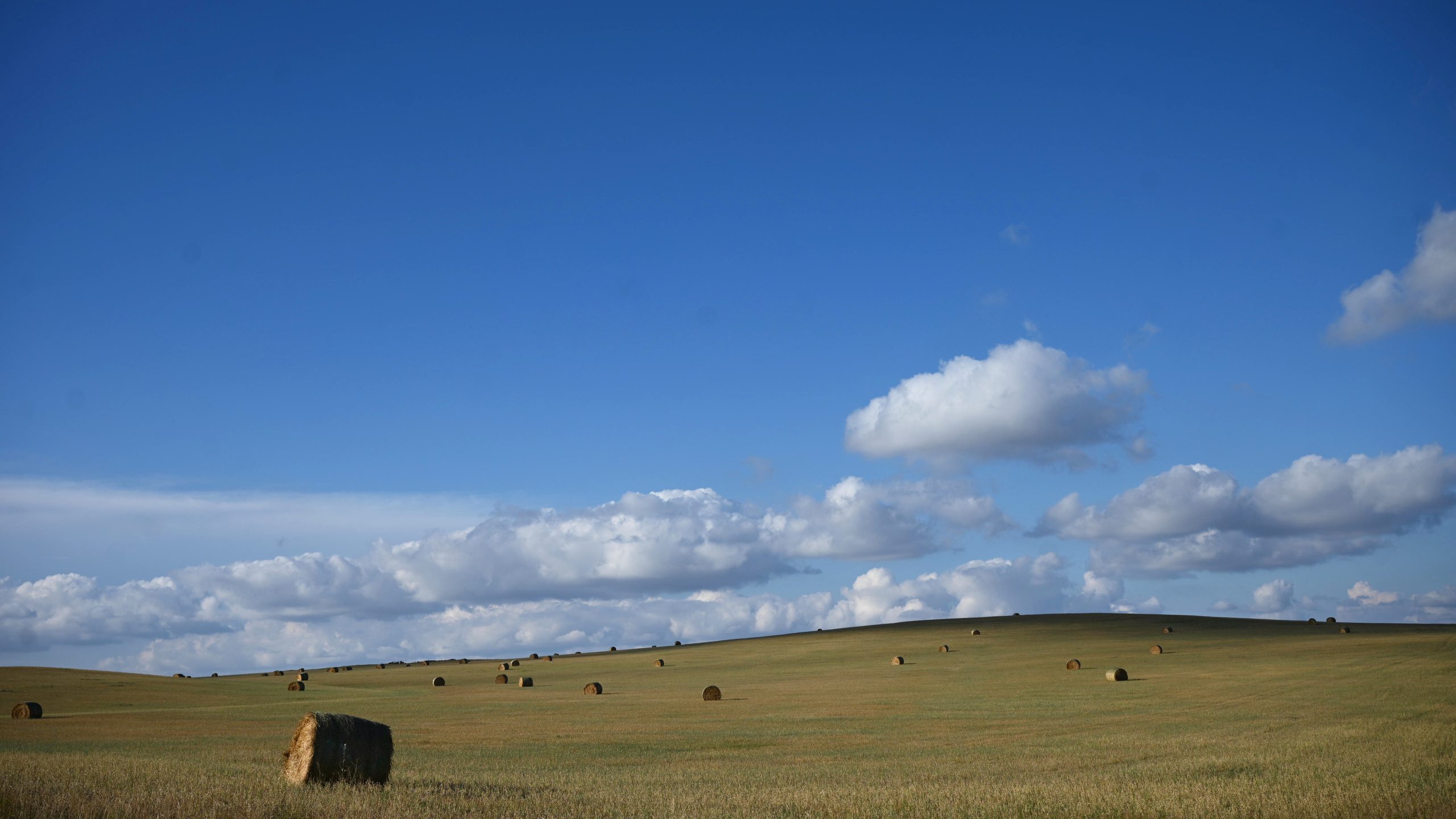 In eastern Montana, a new oil pipeline comes with perils and a potential payday