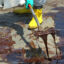 Deep-Sea Species Struggle to Recover After Deepwater Horizon Spill
