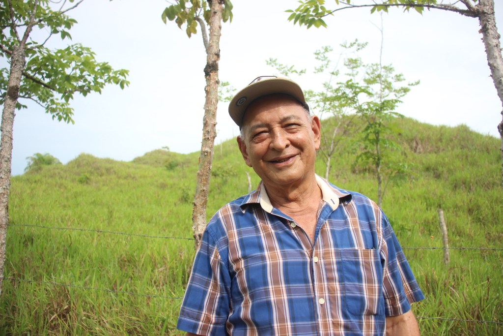 Mientras El Niño agrava la sequía en Panamá, los árboles ayudan a los ganaderos a sobrevivir