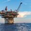 Deep-Sea Species Struggle to Recover After Deepwater Horizon Spill