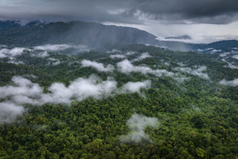 Coal in a green mask: Indonesia’s co-firing plan will harm, not help, the climate