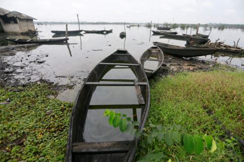 UN carbon market forces cookstove projects to protect against forest loss