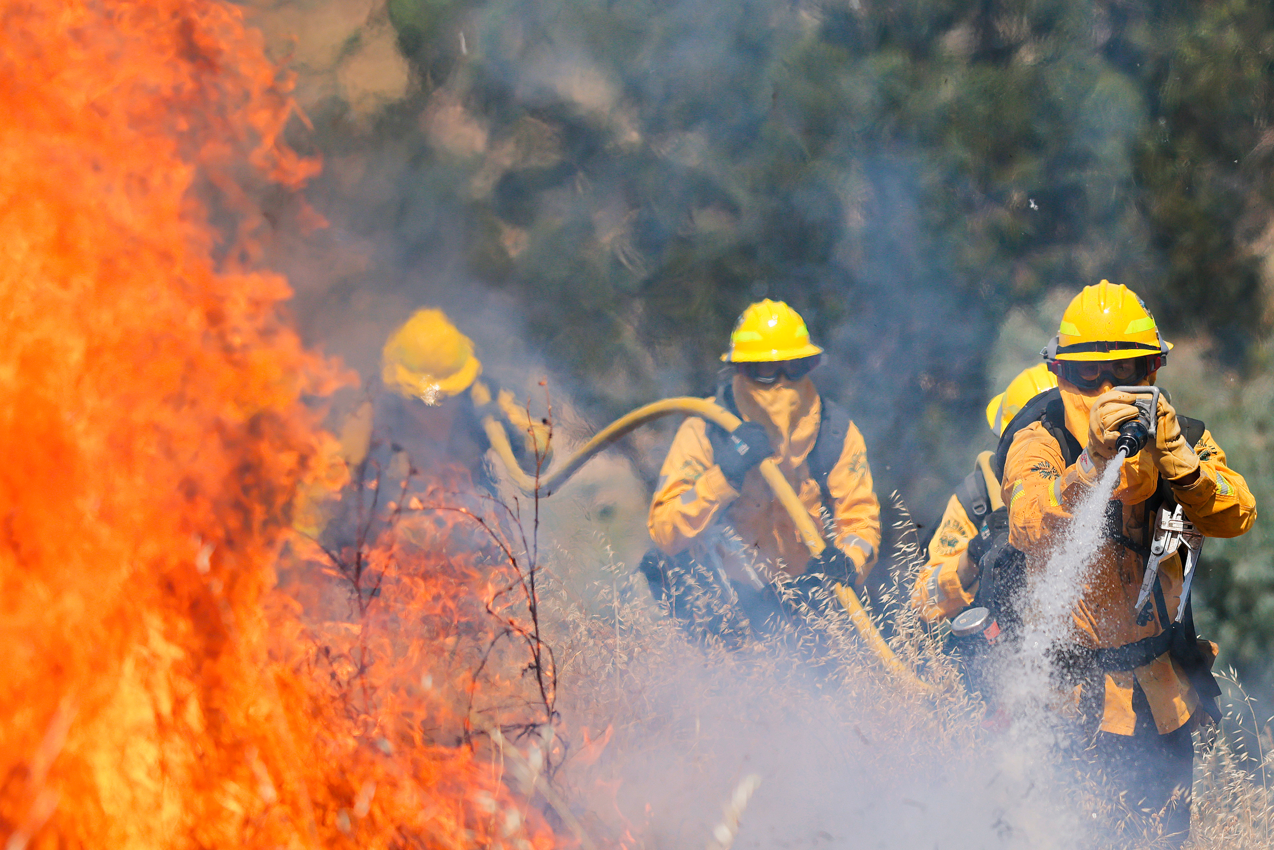 ‘Nature-Based’ Solutions Could Save Insurers and Policyholders Billions