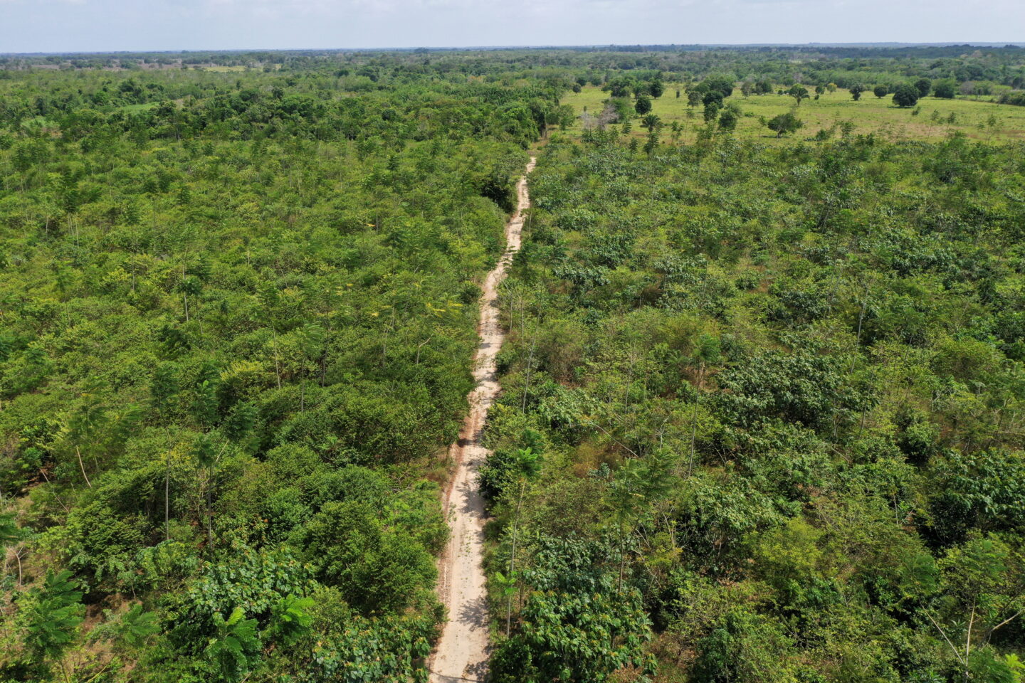 UN carbon market forces cookstove projects to protect against forest loss